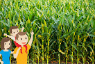 Labyrinthe Gastes - Labyrinthe de maïs - Corn maze Gastes