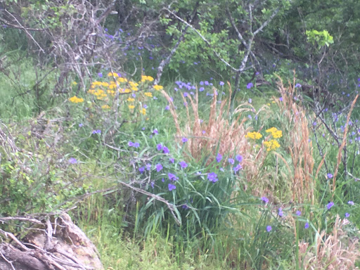 Print Shop «AlphaGraphics Cumberland Galleria», reviews and photos, 2030 Powers Ferry Rd SE #100, Atlanta, GA 30339, USA