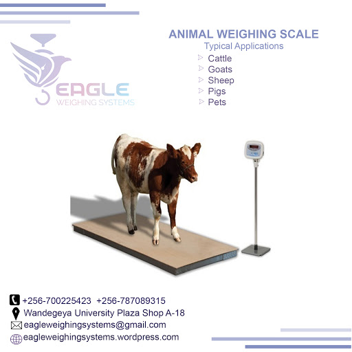Animal Weighing Scales Company of Uganda - Weighing Scale Supplier in  Kampala