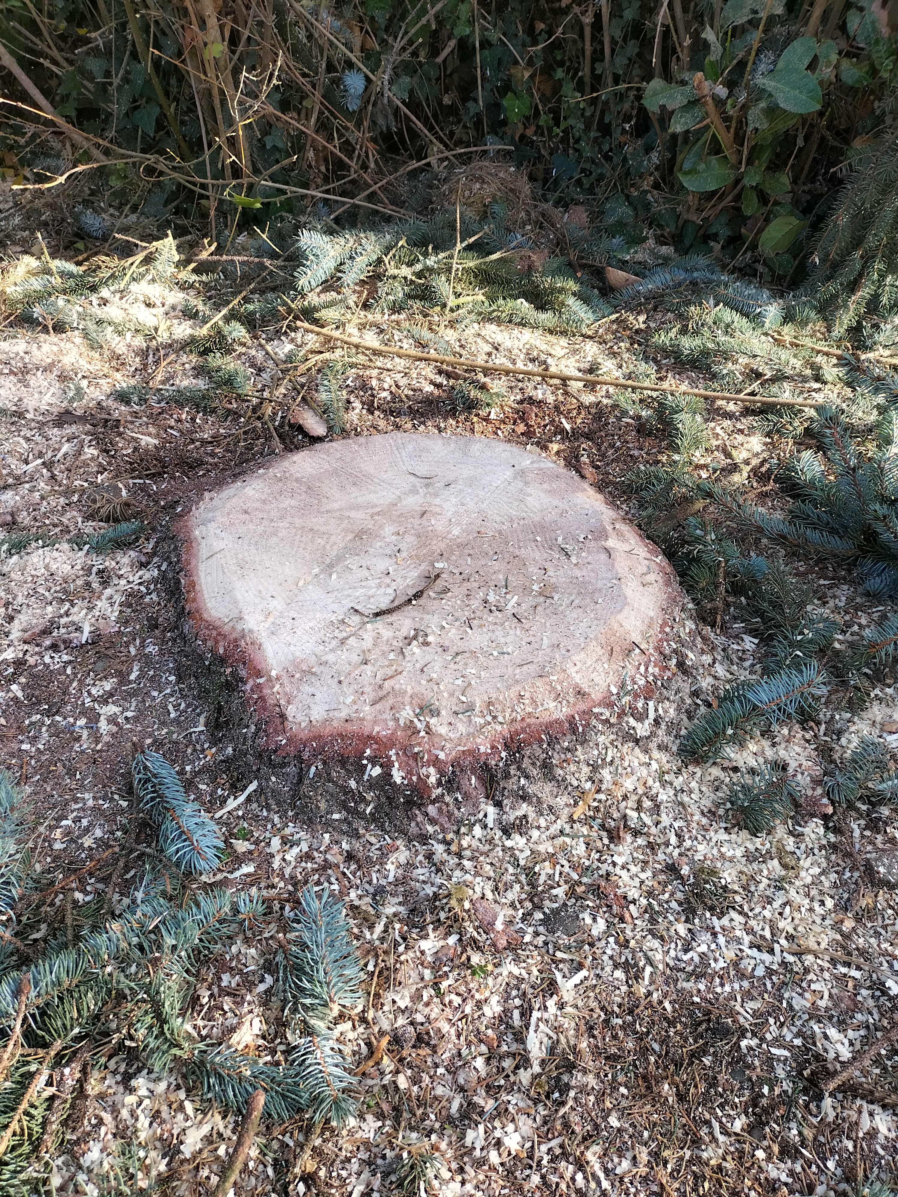Photo n° 4 de l'avis de Alain.e fait le 30/11/2022 à 15:58