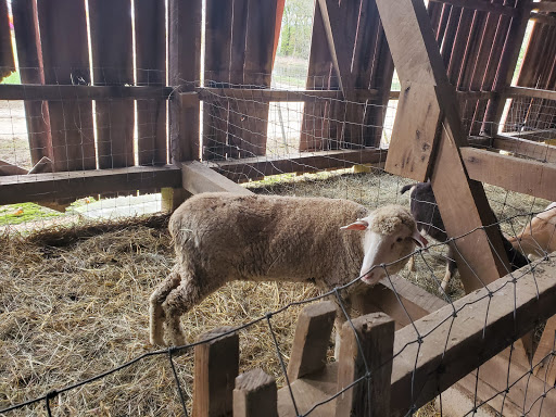 Produce Market «Miller Farms», reviews and photos, 10140 Piscataway Rd, Clinton, MD 20735, USA