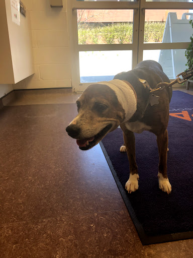 APA Wellness Clinic image