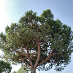 Photo n°5 de l'avis de Oleksii.o fait le 08/03/2020 à 19:19 sur le  Hotel Antica Fenice à Venice