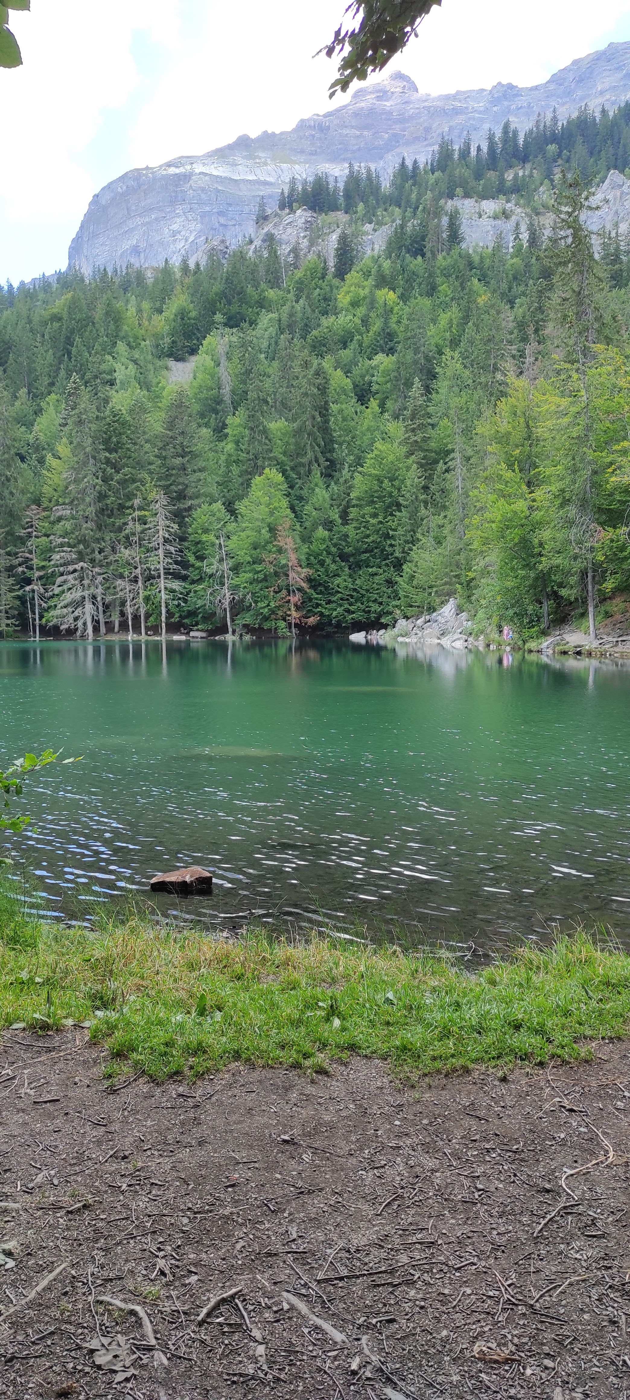 Photo n° 2 de l'avis de Cécilia.� fait le 11/08/2022 à 13:14
