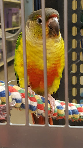 Pet Supply Store «PetSmart», reviews and photos, 5005 S 74th St, Greenfield, WI 53220, USA