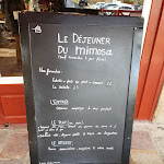 Photo n° 4 de l'avis de Yvon.e fait le 14/04/2023 à 13:37 pour Mimosa à Sare