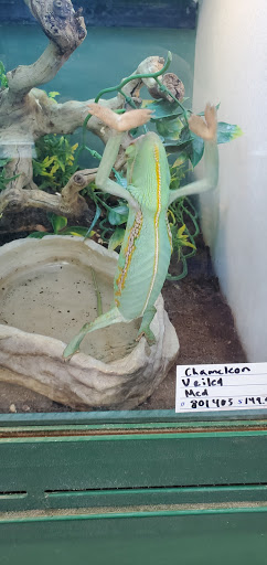 Pet Supply Store «Atlas Pet Supply», reviews and photos, 1798 Market Dr, Stillwater, MN 55082, USA