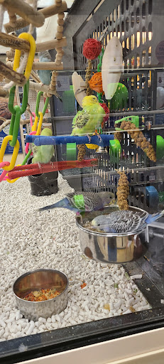 Pet Supply Store «PetSmart», reviews and photos, 700 N Milwaukee Ave, Vernon Hills, IL 60061, USA