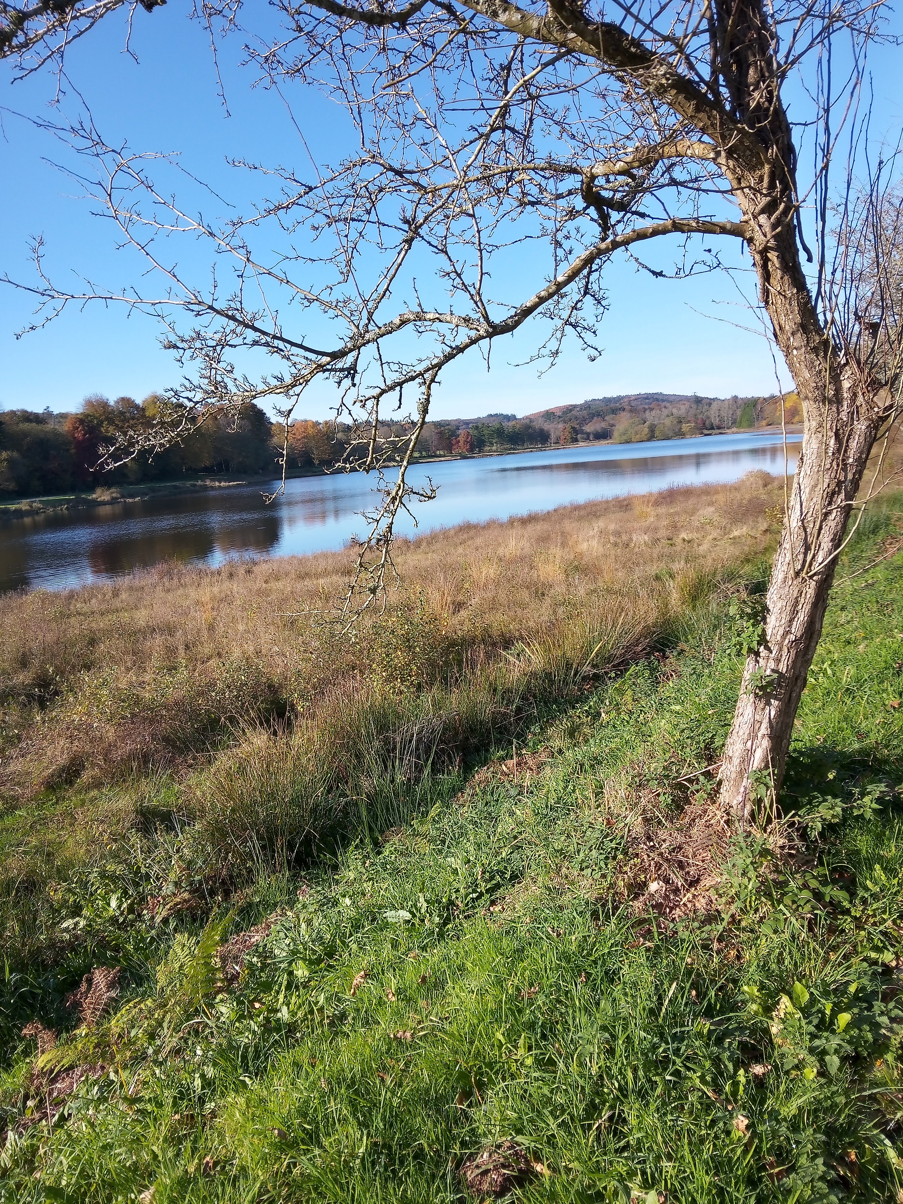 Photo n° 1 de l'avis de Anne.o fait le 15/11/2021 à 12:08