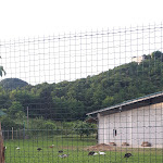 Photo n°1 de l'avis de Massimiliano.e fait le 30/06/2019 à 21:10 sur le  Agriturismo Ai Faris à Attimis