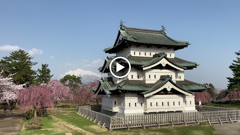 弘前公園 御滝桜