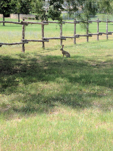 Golf Club «Canyon West Golf Course», reviews and photos, 160 Club House Dr, Weatherford, TX 76087, USA