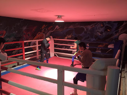 Ub pro boxing club - School 17, 23-р, Ulaanbaatar, Mongolia