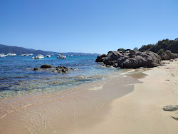 Foto di Plage de la Medea - luogo popolare tra gli intenditori del relax