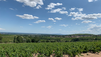 Ludovic CHARVET Vigneron à Chiroubles à Chiroubles