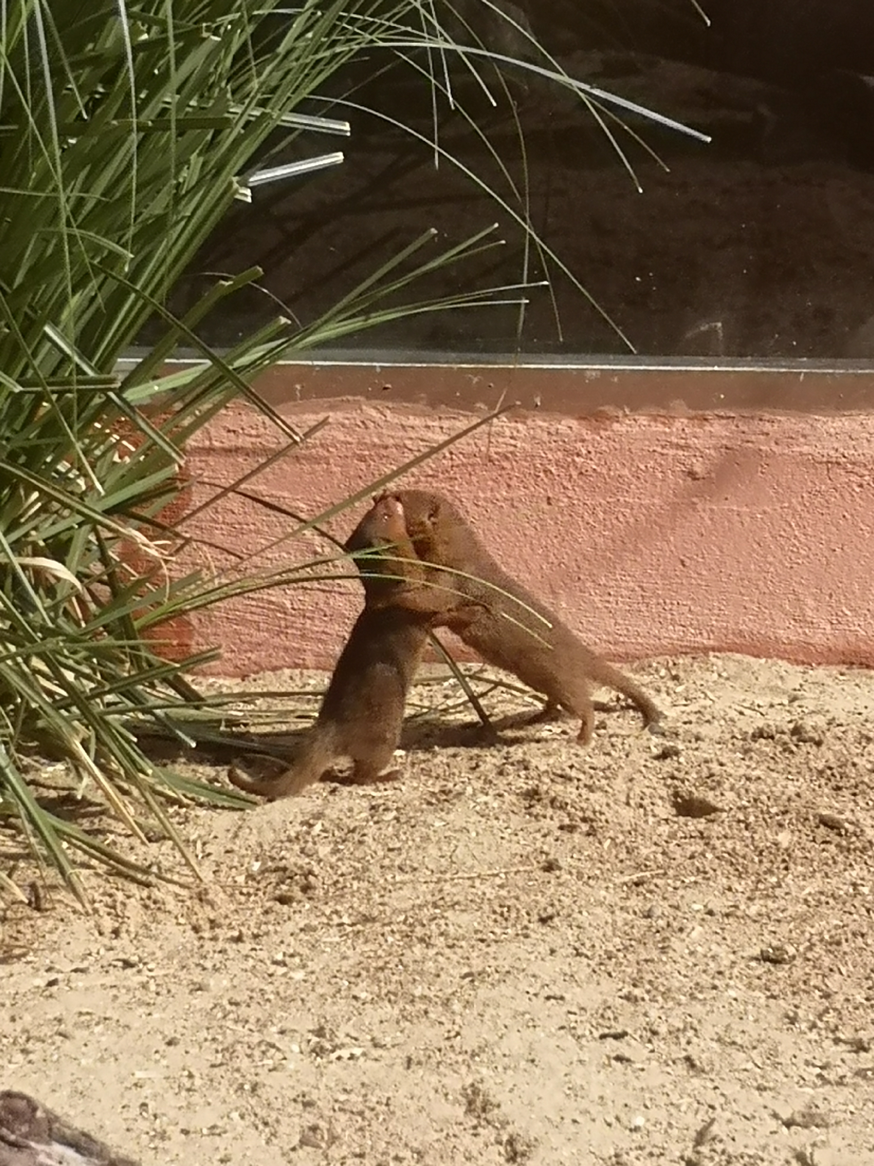 Photo n° 1 de l'avis de leïla.I fait le 20/08/2022 à 17:17