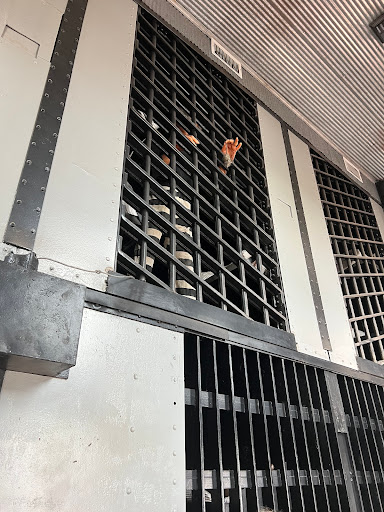 Museum «Spanish Military Hospital Museum», reviews and photos, 3 Aviles St, St Augustine, FL 32084, USA