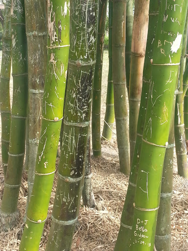 Park «R E Olds Park», reviews and photos, 107 Shore Dr W, Oldsmar, FL 34677, USA