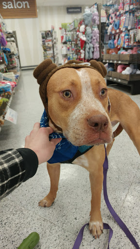 Pet Supply Store «Petco Animal Supplies», reviews and photos, 1203 SE Everett Mall Way f, Everett, WA 98208, USA