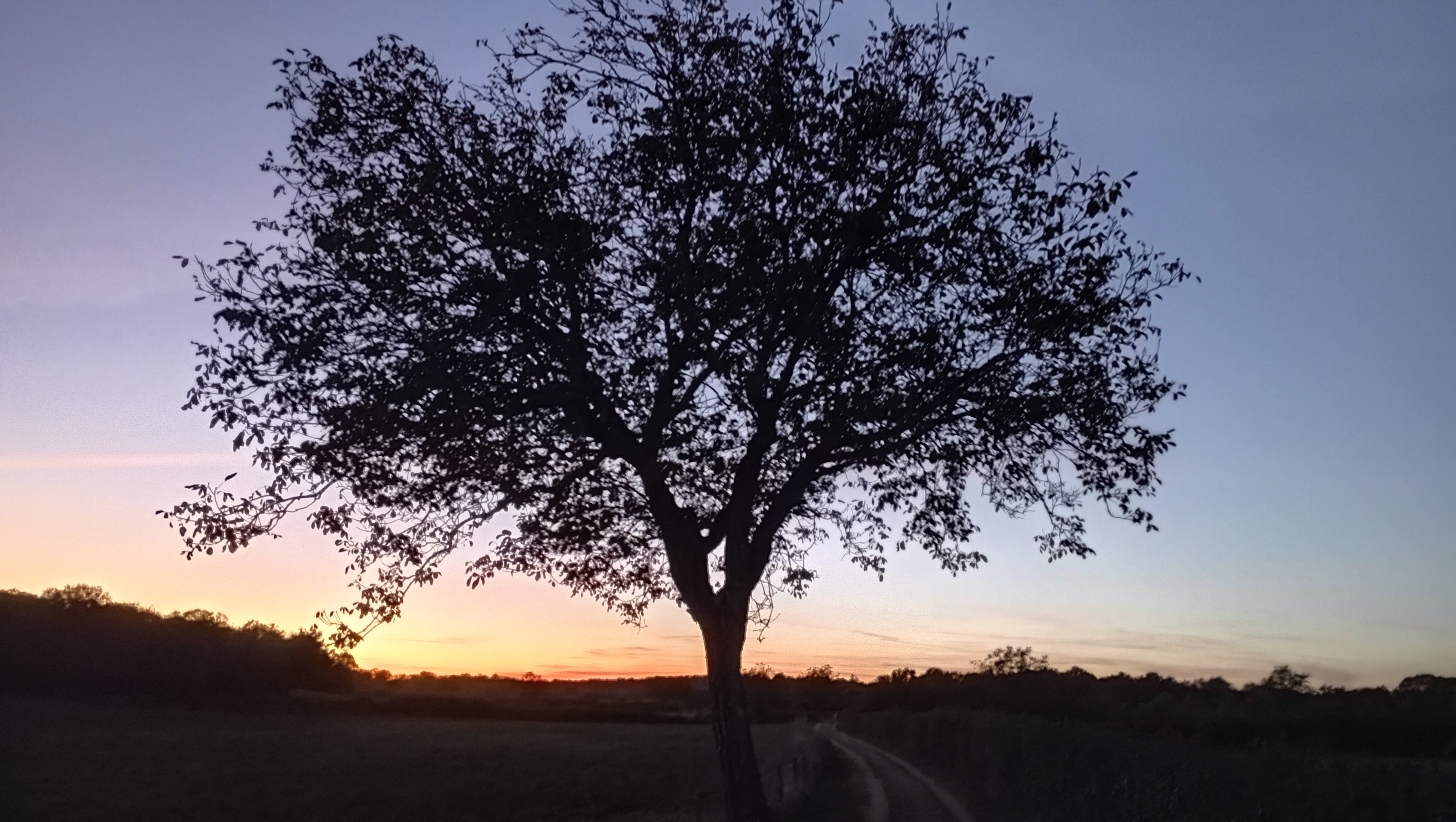 Photo n° 1 de l'avis de Mo.u fait le 13/10/2023 à 06:17