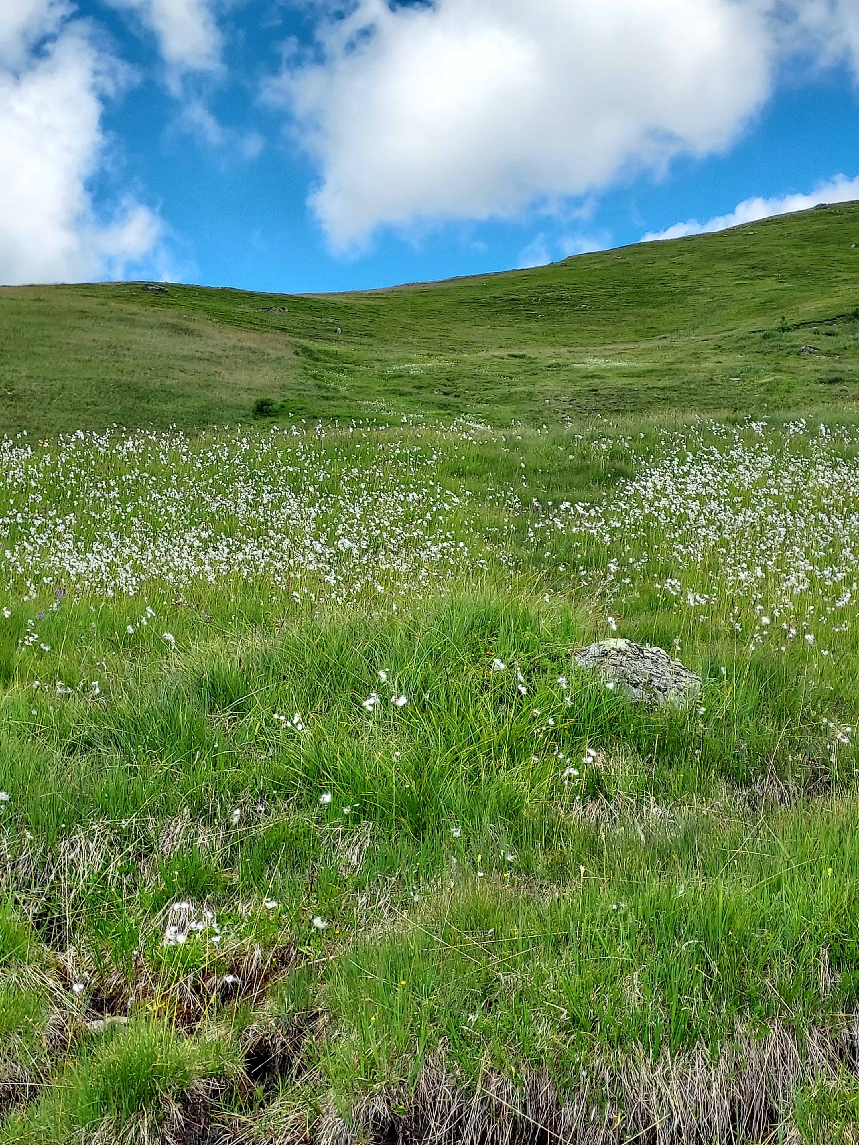Photo n° 2 de l'avis de gaudillere.h fait le 07/07/2022 à 22:22