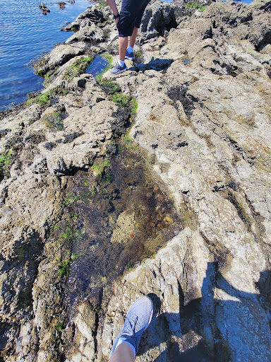 City Park «Lighthouse Point Park», reviews and photos, 2 Lighthouse Rd, New Haven, CT 06512, USA