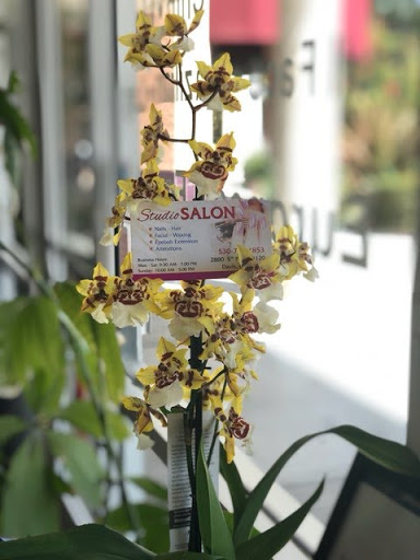 Nail Salon «Studio Salon», reviews and photos, 2939 Spafford St, Davis, CA 95618, USA