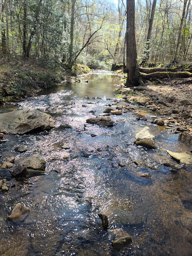 Horne Creek Trail