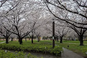 Saigōgawa Kakou Park image
