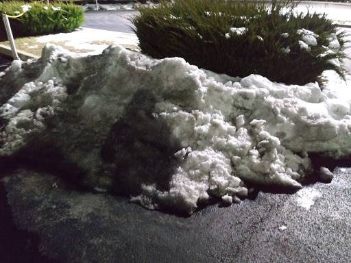 Casino «Indiana Grand Racing & Casino», reviews and photos, 4300 N Michigan Rd, Shelbyville, IN 46176, USA