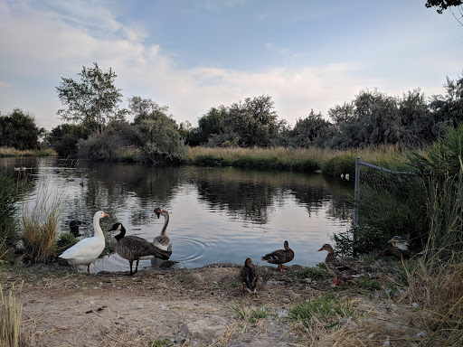 Nature Preserve «Wilson Springs Ponds», reviews and photos, 3209-3507 S Powerline Rd, Nampa, ID 83686, USA