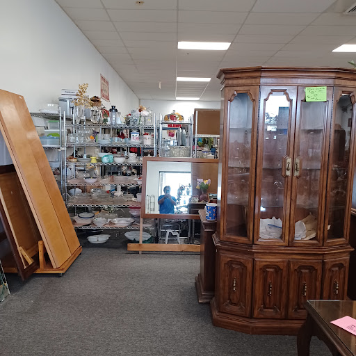 Thrift Store «Orphans Rock Thrift Shop», reviews and photos, 4001 N Highway 19A, Mt Dora, FL 32757, USA