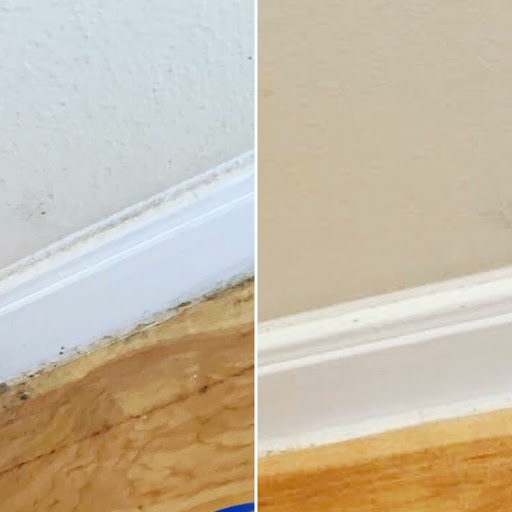 Cleaning Service «Maids and Moore Cleaning Service», reviews and photos, 111 W Anderson Ln, Austin, TX 78752, USA