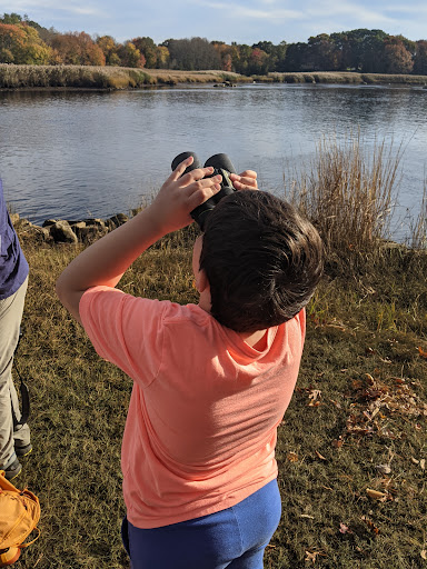 Park «Sweets Knoll State Park», reviews and photos, 1387 Somerset Ave, Dighton, MA 02715, USA