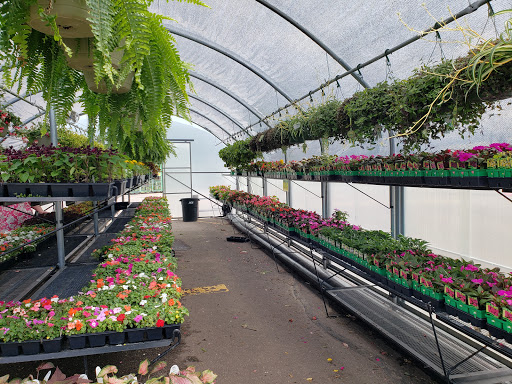 Grocery Store «Marketplace Foods», reviews and photos, 10514 Main St, Hayward, WI 54843, USA