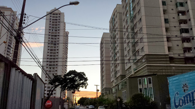OVG - Organização das Voluntárias de Goiás