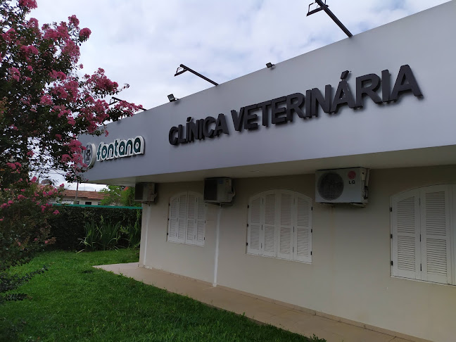 FONTANA Clínica Veterinária - Veterinário