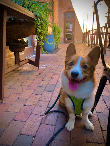 Coffee Shop «Lola Coffee», reviews and photos, 1001 N 3rd Ave, Phoenix, AZ 85003, USA