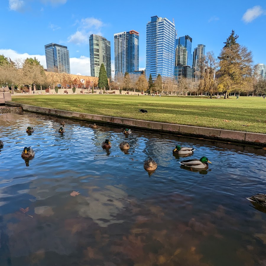 Bellevue Downtown Park