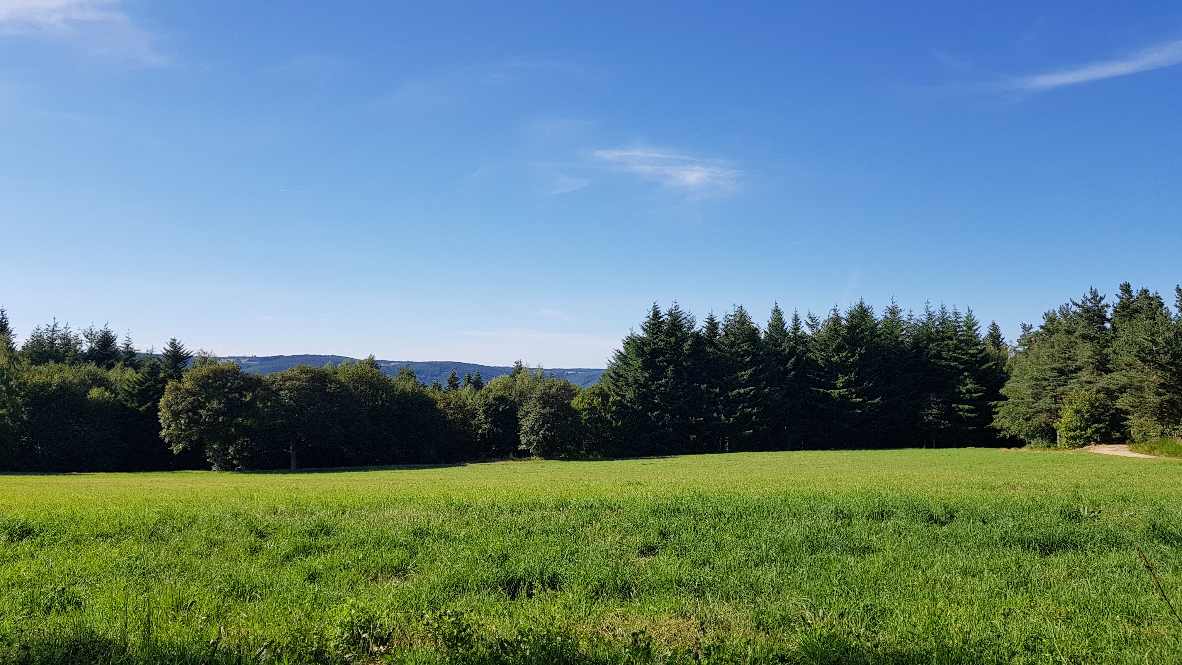 Photo n° 6 de l'avis de F.J fait le 11/08/2018 à 19:58