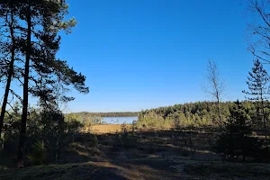 Vaskijärvi Strict Nature Reserve image