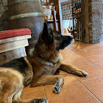 Photo n°4 de l'avis de Greta.l fait le 29/02/2024 à 18:12 sur le  Hotel El Laresh à Moena