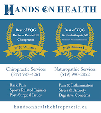 Hands On Health - Windsor - Photo 8 - Car repair in Windsor, ON, Canada, Dearborn