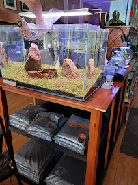 Watercolors Aquarium Gallery - Photo 9 - Car repair in Grand Rapids, MI, Grand Rapids