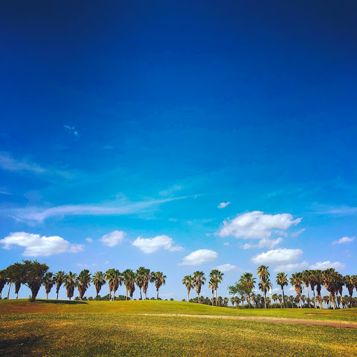 Golf Course «Palm View Golf Course», reviews and photos, 2701 S Ware Rd, McAllen, TX 78503, USA