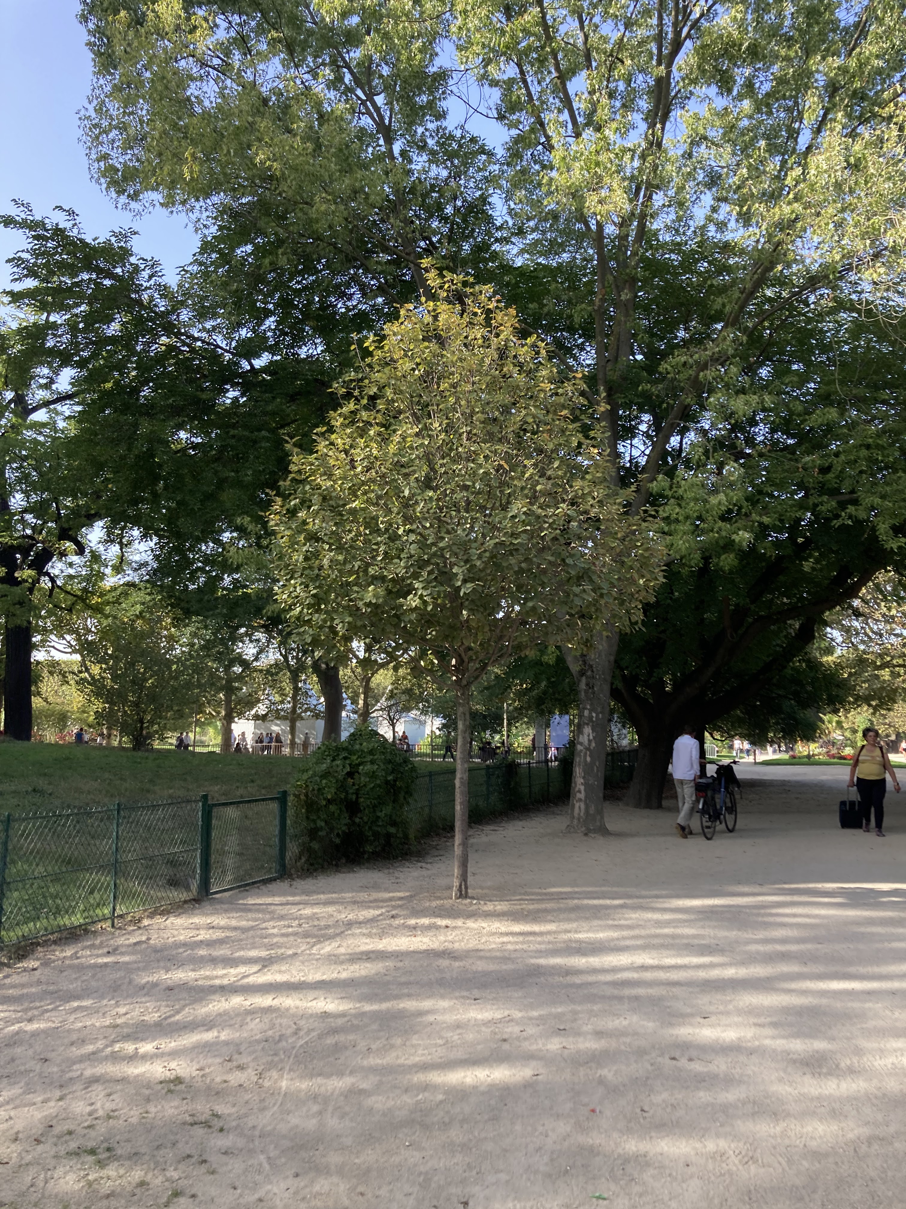 Photo n° 4 de l'avis de Aby. fait le 10/10/2023 à 12:13