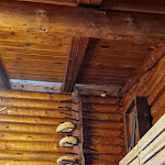 Photo n°2 de l'avis de kk.r fait le 27/03/2023 à 16:40 sur le  Bar Ristorante Gran Sometta à Cervinia