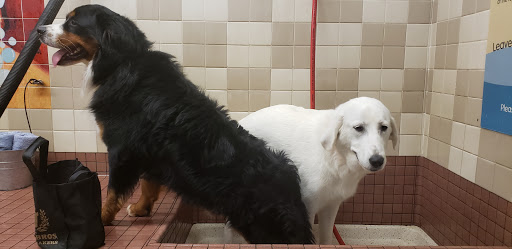 Pet Supply Store «Pet Food Express», reviews and photos, 2531 Fair Oaks Blvd, Sacramento, CA 95825, USA