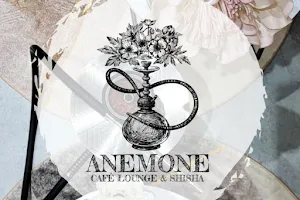 CAFÉ LOUNGE & SHISHA ANEMONE【カフェラウンジアンドシーシャアネモネ】 image