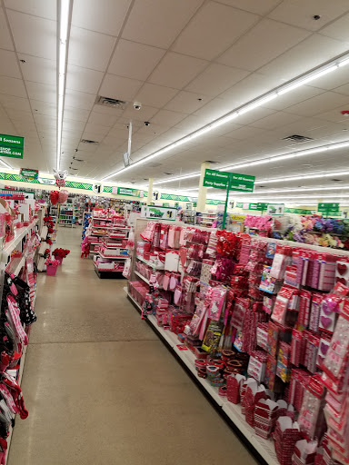 Dollar Store «Dollar Tree», reviews and photos, 4101 Dempster St, Skokie, IL 60076, USA